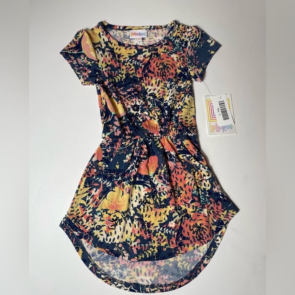 LuLaRoe Multicolor Floral Mae Dress